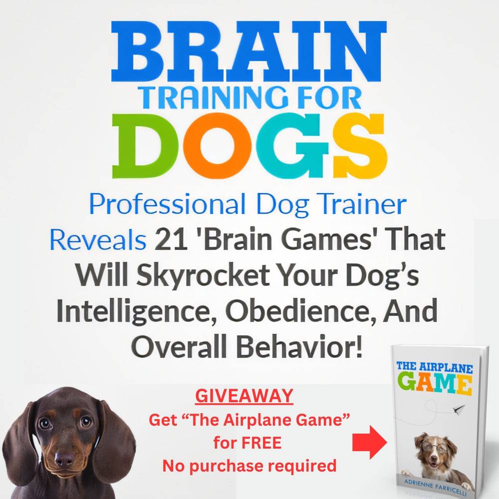 Free Dog training