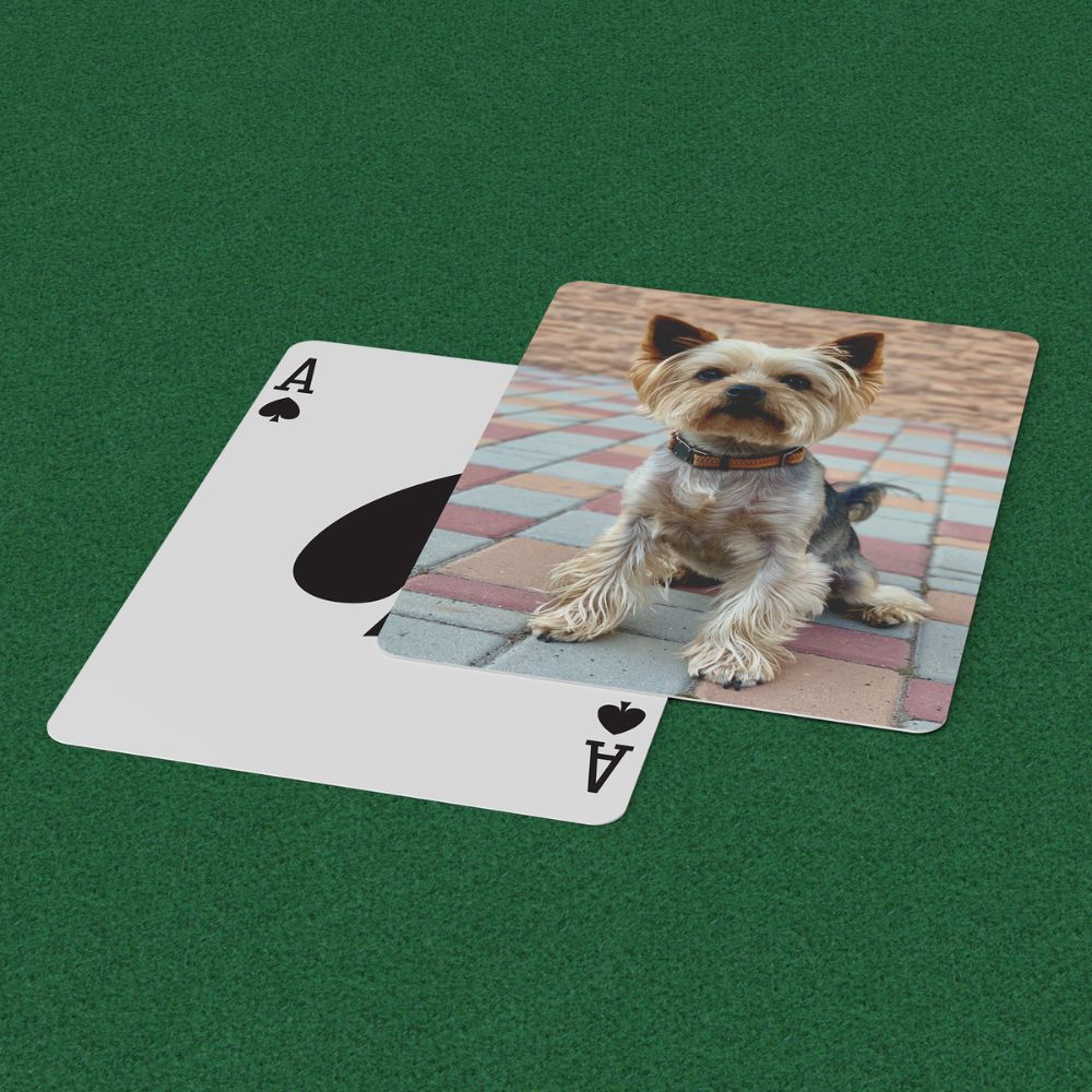 Custom Pet Photo Playing Cards