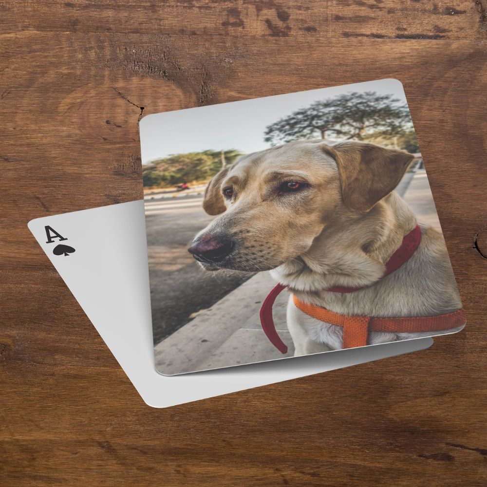 Custom Pet Photo Playing Cards