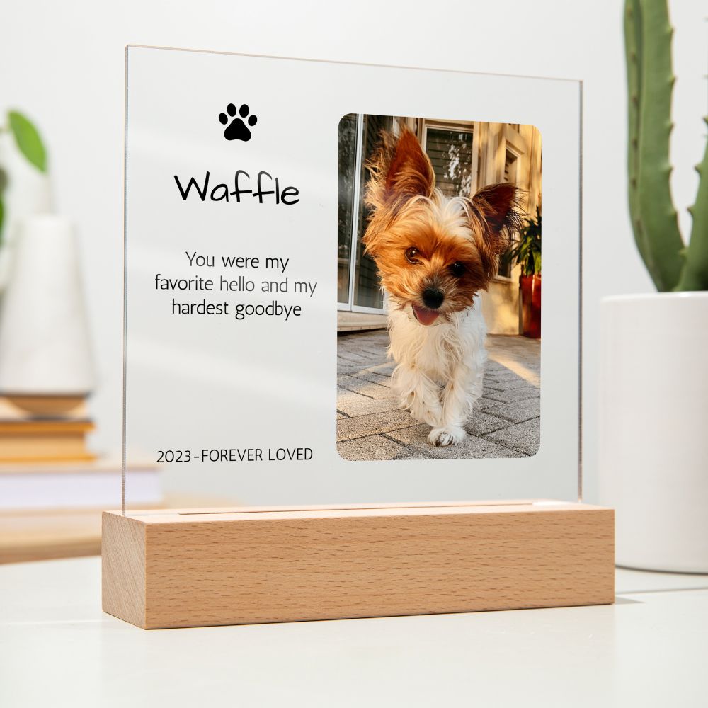 Personalized Dog memorial gift photo portrait acrylic sympathy loss of dog present