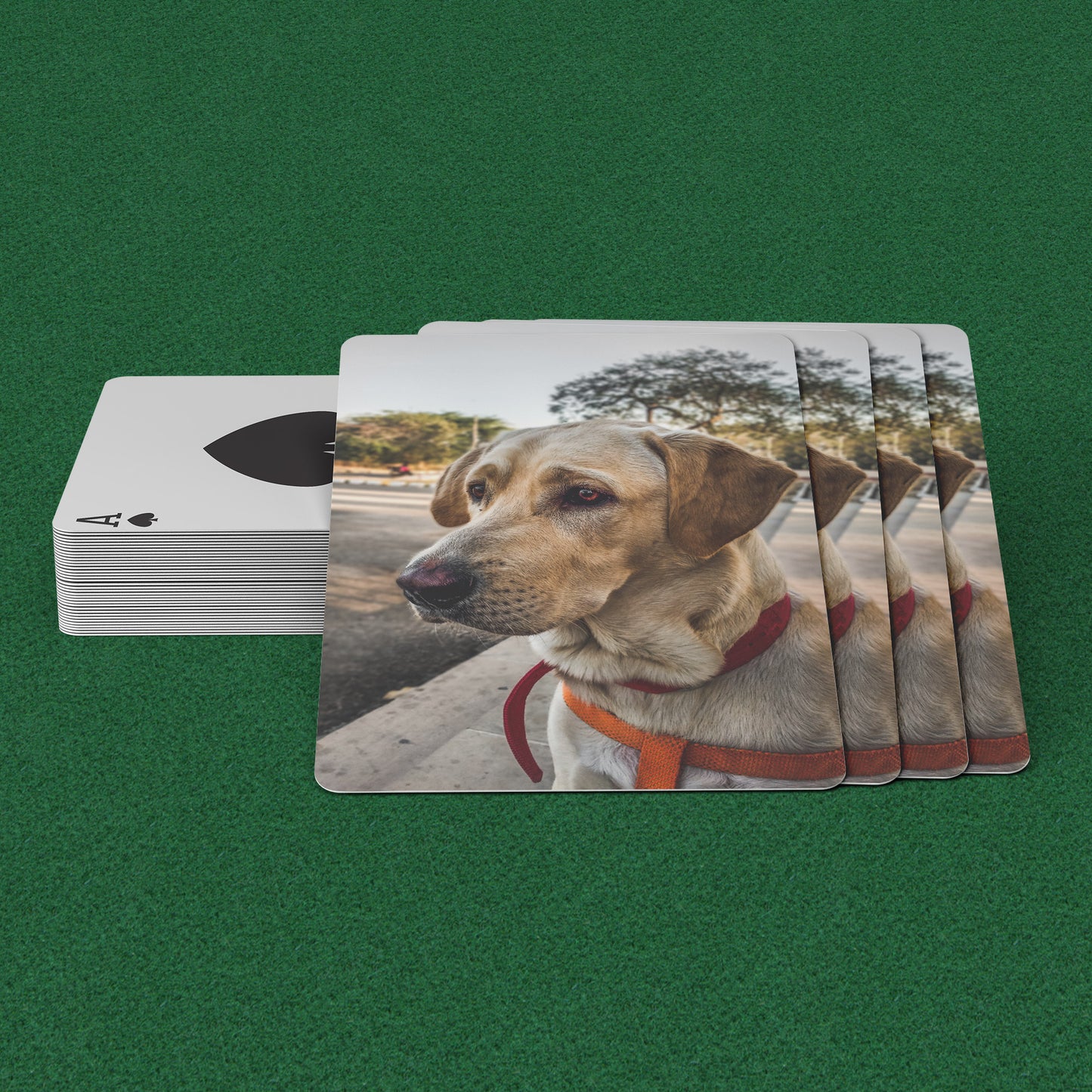 Custom Pet Photo Playing Cards