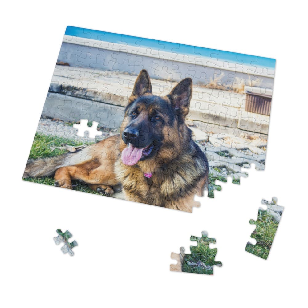 Personalized Jigsaw Puzzles with Your Pet Dog Cat Photo – 30 to 500 Piece