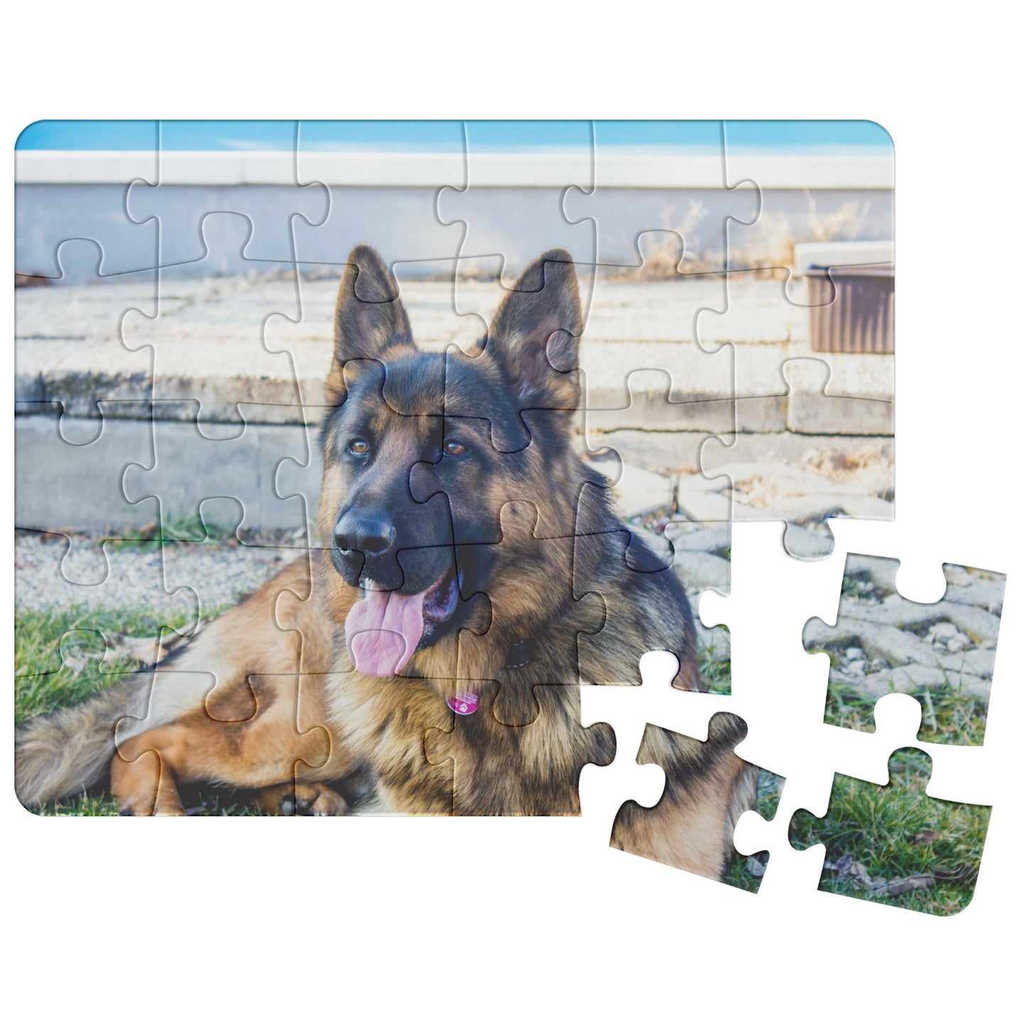 Personalized Jigsaw Puzzles with Your Pet Dog Cat Photo – 30 to 500 Piece