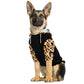 Dog Hoodie - Small to Large Dogs - Leopard Print - Premium Durable Fabric