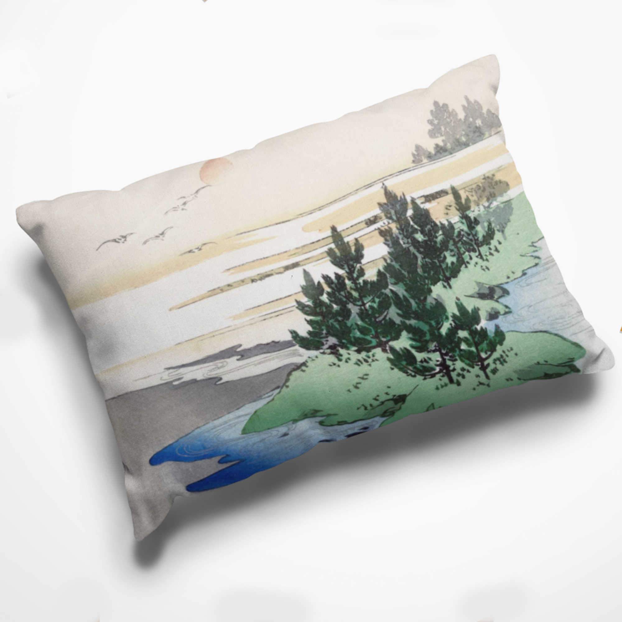 Removable discount pillow covers