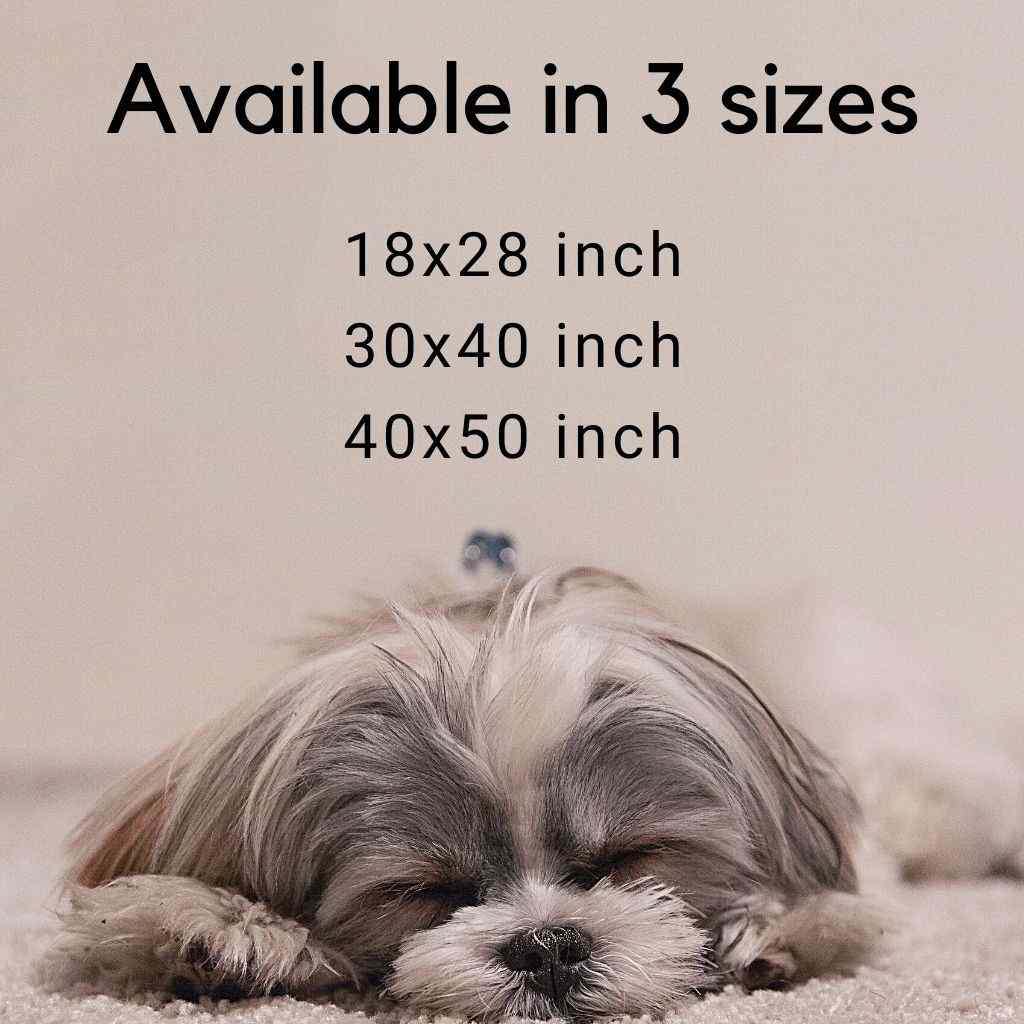 Premium Quality Pet Bed with Removable Washable Pillow Cover | Dry cooler garden by Paul Klee. [FREE US SHIPPING] Dog Beds Pets on Merch 