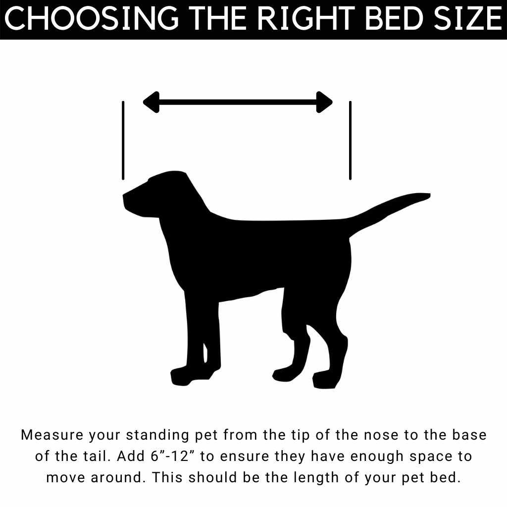 Dog bed size. How to choose the right bed size