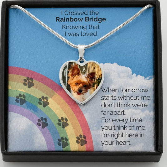 Rainbow Bridge Personalized Pet Memorial Photo Necklace | Heart Pendant Jewelry ShineOn Fulfillment Luxury Necklace (.316 Surgical Steel) No